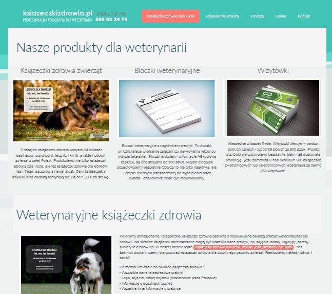 portfolio_7